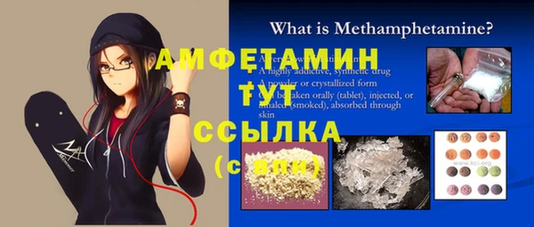 молекула духа Бородино