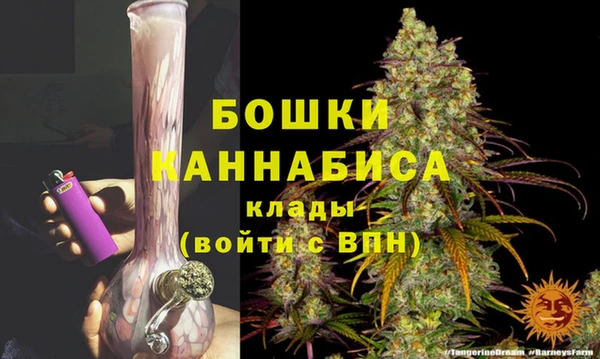молекула духа Бородино