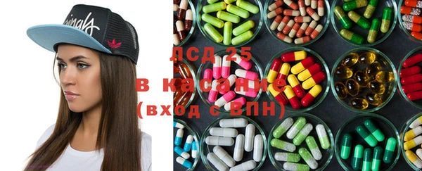 молекула духа Бородино